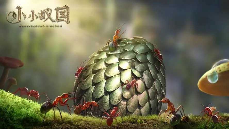 小小蚁国国际服搬砖