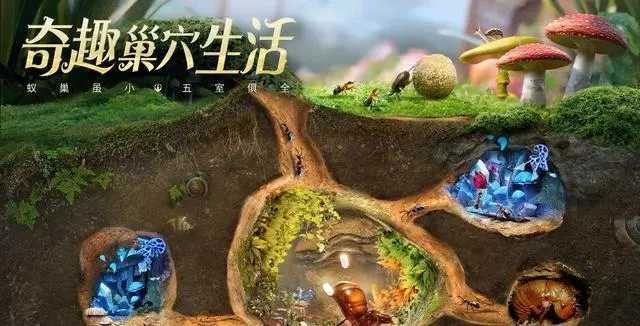 小小蚁国国际服搬砖