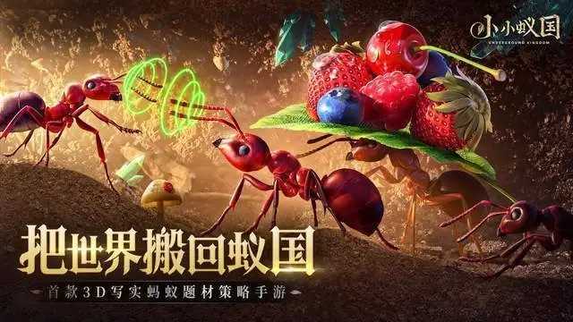 小小蚁国国际服搬砖