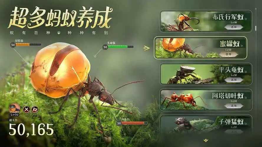 小小蚁国国际服搬砖
