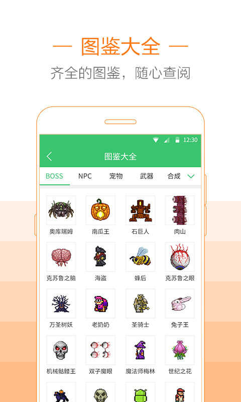 泰拉瑞亚助手下载1.3