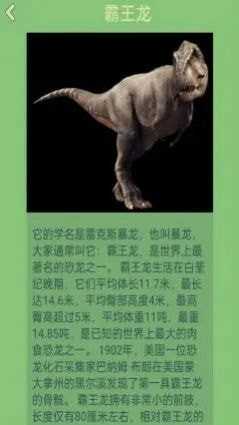 梦幻恐龙岛app