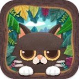 秘密猫森林 
