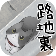丢失的猫 