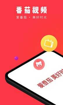 番茄视频app