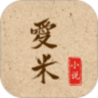爱米小说