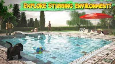 模拟猫咪无限金币