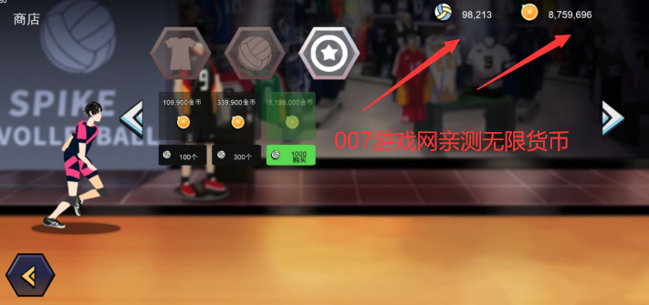 thespike排球高手破解版