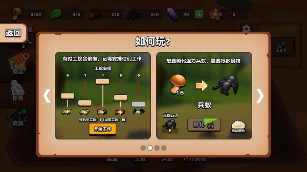 蚂蚁进化