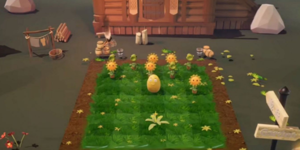 荔枝的植物世界