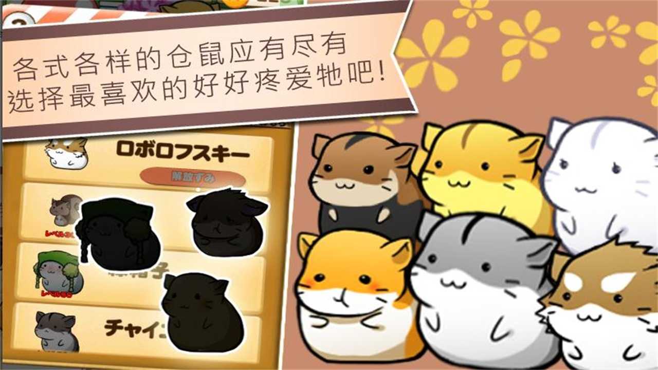 仓鼠的日常（Hamster Life）