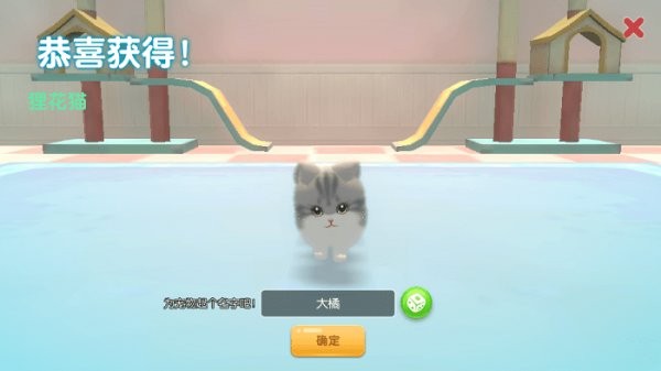养了个猫免广告