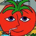 mister tomato番茄先生