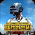 地铁逃生pubg国际服