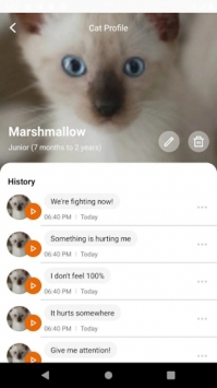 meowtalk