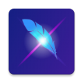 LightX Pro