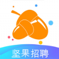 坚果招聘