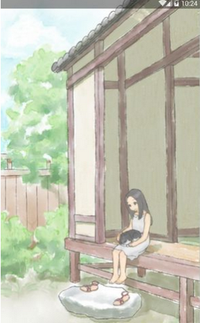 丢失的猫 
