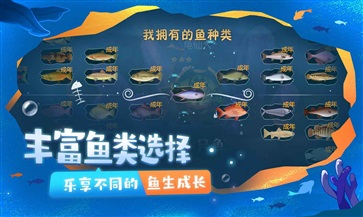 一只鱼 