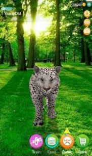 会说话的猎豹中文版