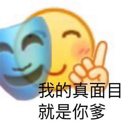 孙一宁与王思聪表情包