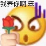 王思聪舔狗语录表情包