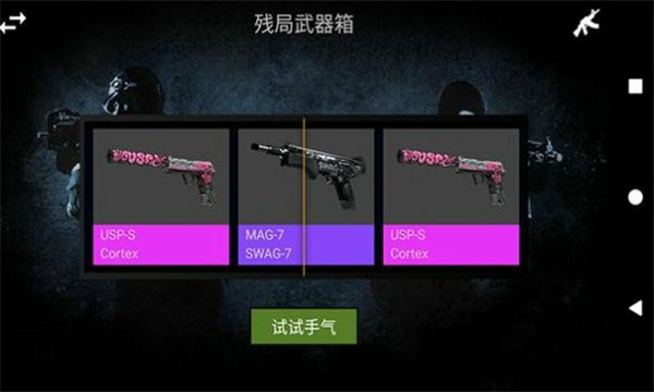 csgo虚拟开箱体验