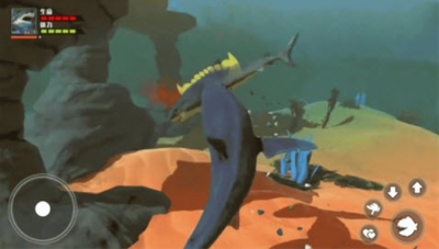 haiddqs.jpg haiddqs.jpg