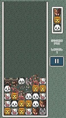 动物园流行音乐中文版