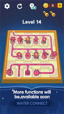 水连接种植你的花朵