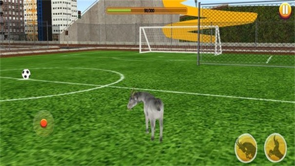 shanydmm.jpg shanydmm.jpg