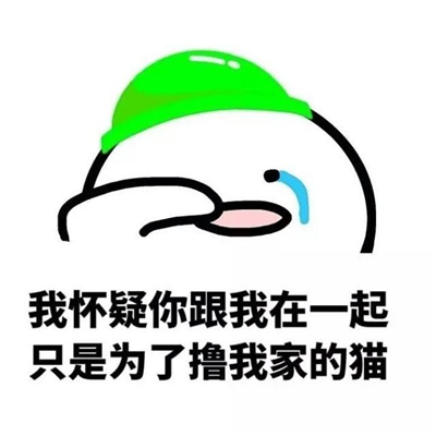 原来你只是看上我的表情包了