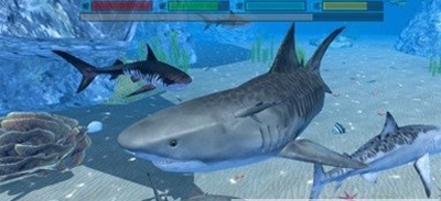 终极鲨鱼攻击3D