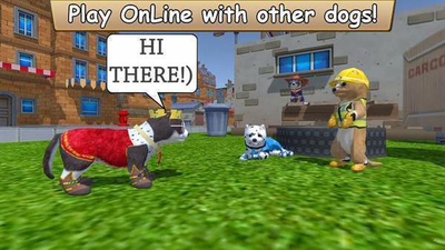 美国zoom动物仙踪林