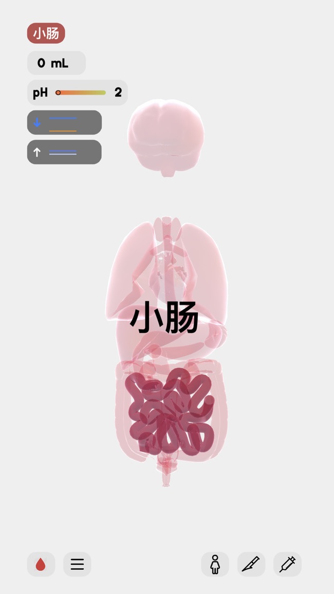 Life生命模拟器