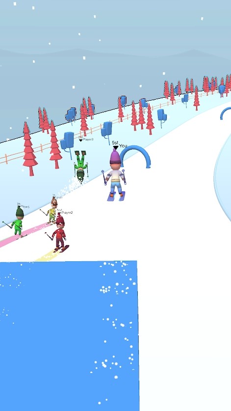 skierh3d.jpg