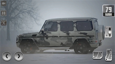 G65停车模拟器