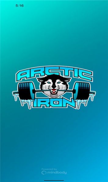 Arctic Iron