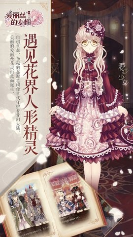 爱丽丝的衣橱台服版